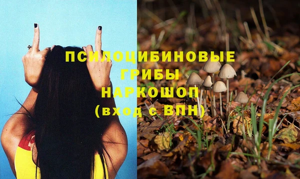 МДПВ Гатчина