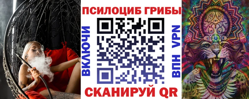 купить наркотик  Кимовск  гидра рабочий сайт  Галлюциногенные грибы мухоморы 
